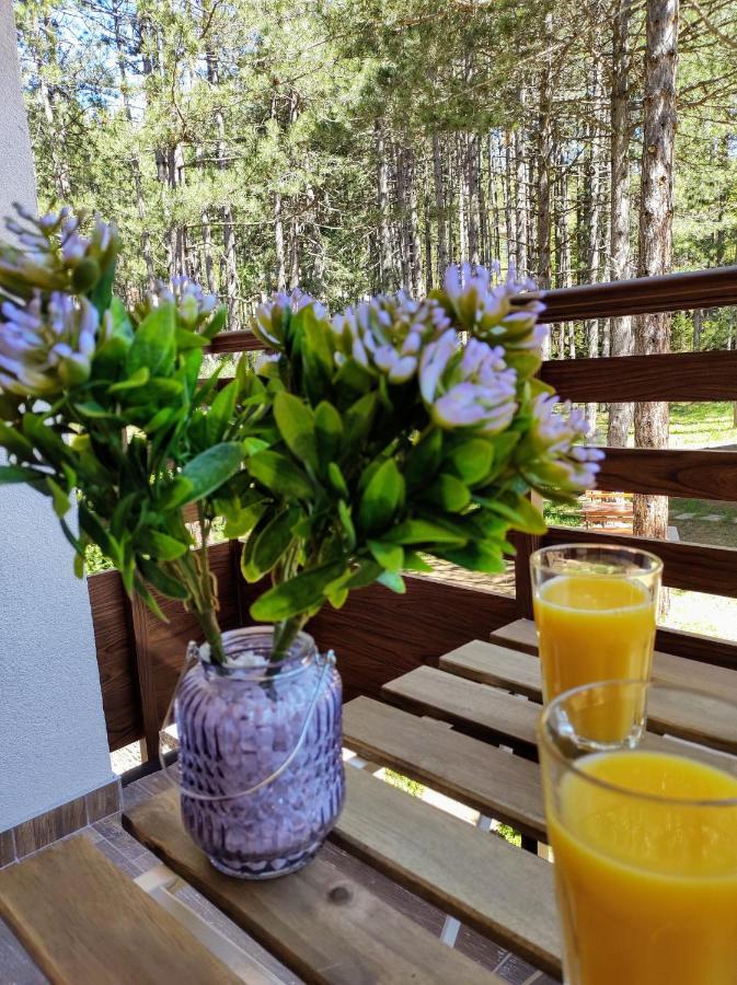 Casa Di Stefano Apartment & Spa Zlatibor Eksteriør bilde